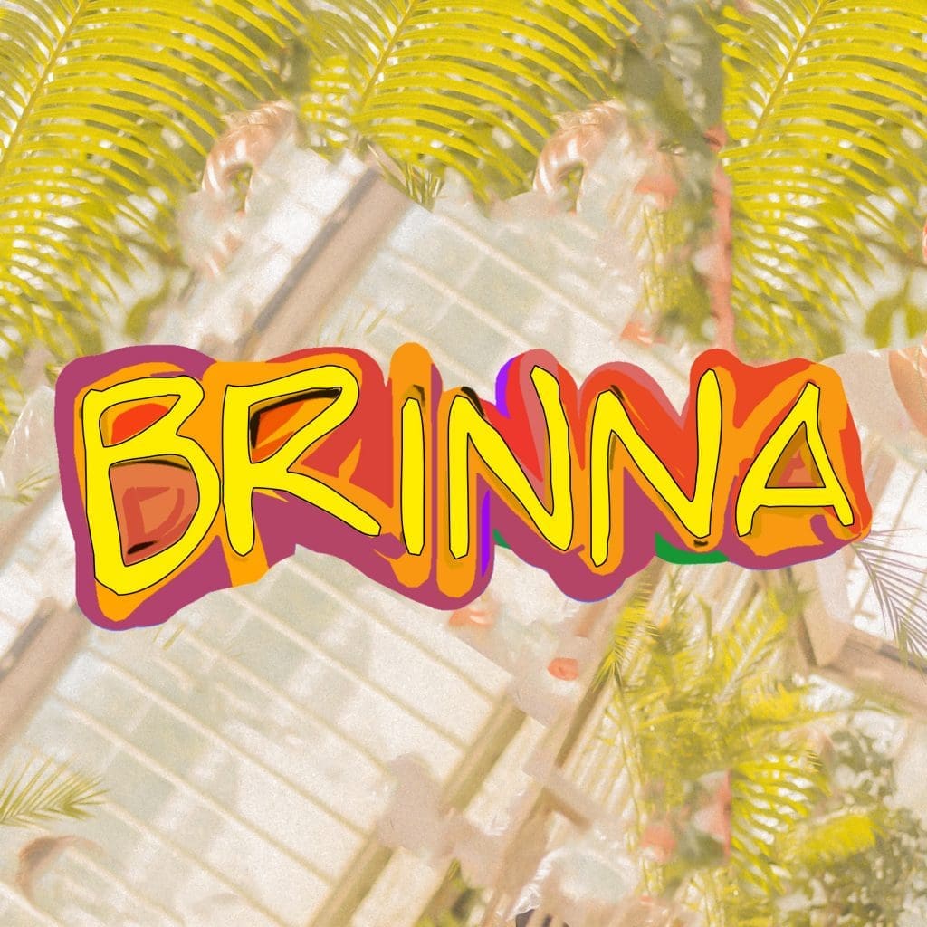 Brinna cover artwork JVN